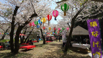 大井関公園の桜