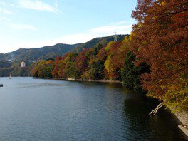 県立相模湖公園の紅葉 神奈川県 紅葉名所21 ウォーカープラス