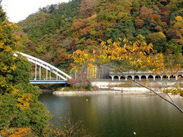 県立相模湖公園の紅葉 神奈川県 紅葉名所21 ウォーカープラス