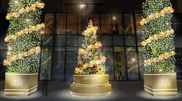 銀座三越晴海通り口の巨大なクリスマスツリー