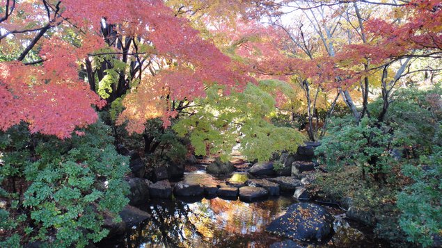 「日本庭園・かえで橋」モミジの赤が映える瀬流れ