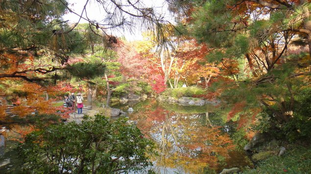 「日本庭園・むつび池」秋ならではの色彩です