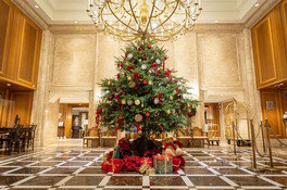 タワー館1階 ロビーには本物のもみの木を使用したクリスマスツリー(2022年の様子)