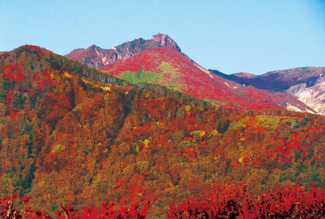 紅葉する朝日岳も見応えがある
