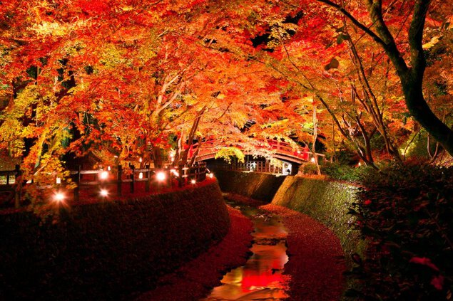 北野天満宮 / 国宝御本殿と約350本の紅葉が織りなす絶景
