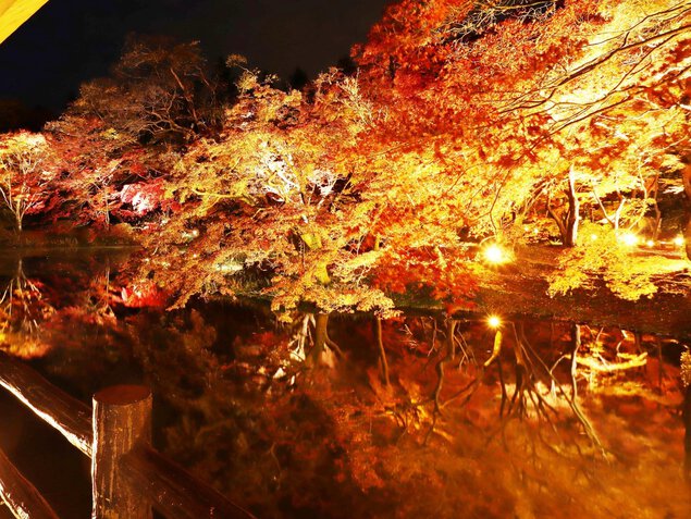 京都府立植物園 / 広大な敷地が色付く秋の京都府立植物園