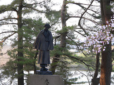 県立芦野公園の桜