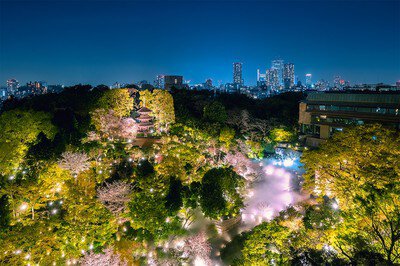 ホテル椿山荘東京の桜