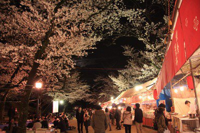 亥鼻公園の桜
