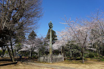 西蓮寺の桜