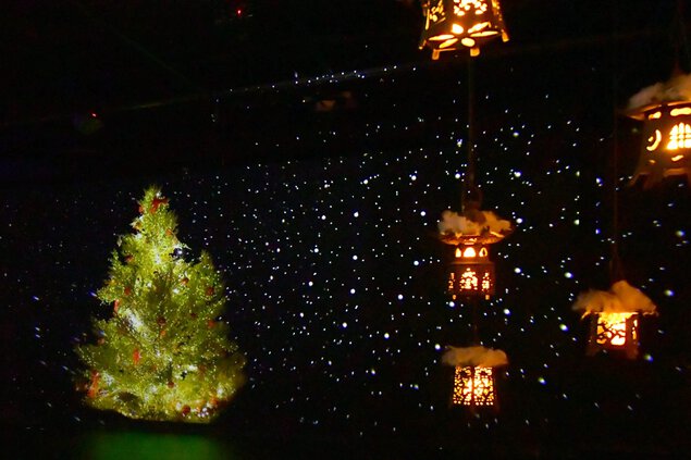 星降る銀座のクリスマス アートアクアリウム美術館 GINZA