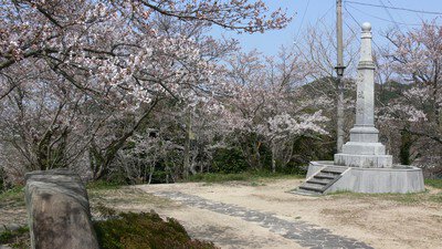 王子山公園の桜