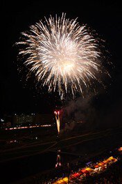 黄金色の花火が夜空いっぱいに広がる