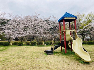 定光寺公園の桜
