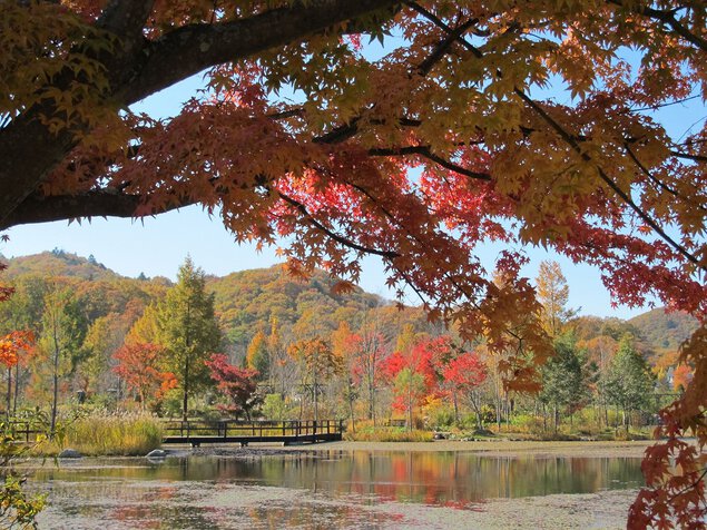 湖に映える紅葉も見所