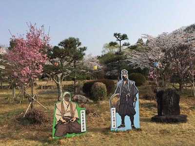 旧柳生藩陣屋跡の桜