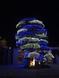 中原中也記念館前ではカイヅカイブキの木をフィンランド国旗カラーである青と白のイルミネーションで彩る