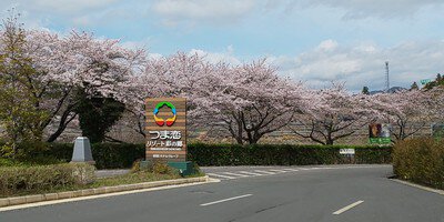 つま恋リゾート彩の郷(さいのさと)の桜