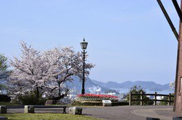 TOSOH PARK永源山(永源山公園)の桜 画像(2/5)